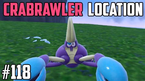 crabrawler serebii|crabrawler location.